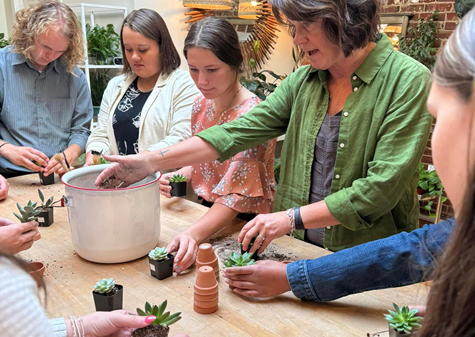 Effingham County CEO